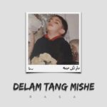 دانلود آهنگ رسا دلم تنگ میشه